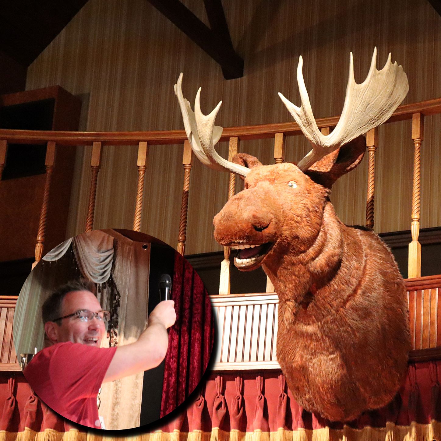 Marvin hotsell the moose